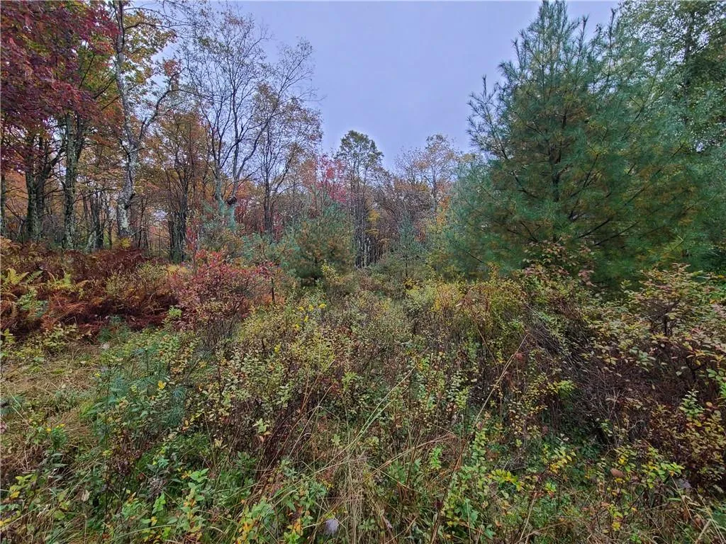 116 Voss Road, Denning, NY, ,Land,For Rent,Voss,0,H6330587 116 Voss Road, Denning, NY, ,Land,For Rent,Voss,0,H6330587