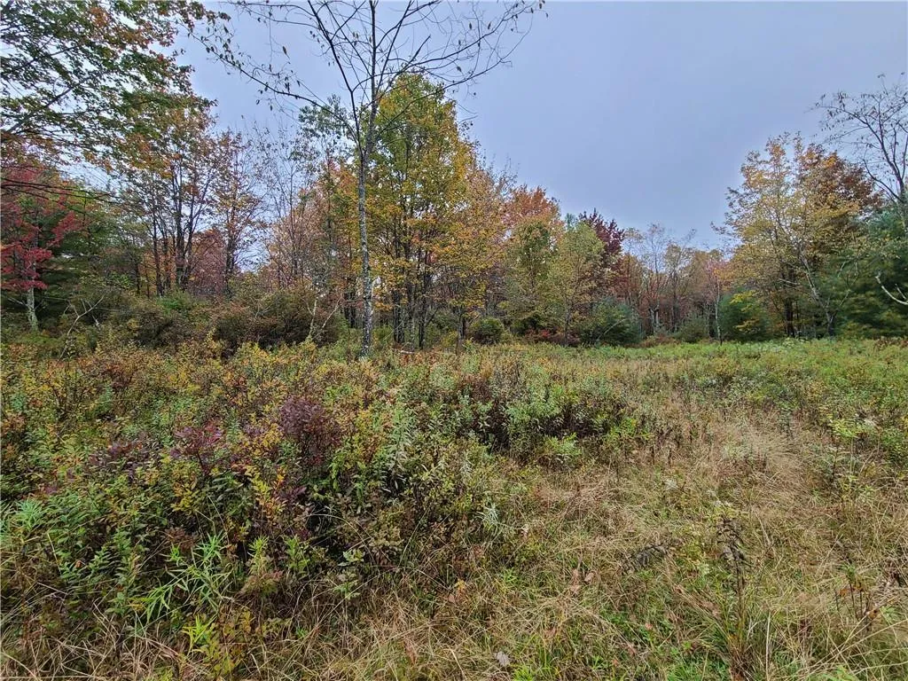 116 Voss Road, Denning, NY, ,Land,For Rent,Voss,0,H6330587 116 Voss Road, Denning, NY, ,Land,For Rent,Voss,0,H6330587