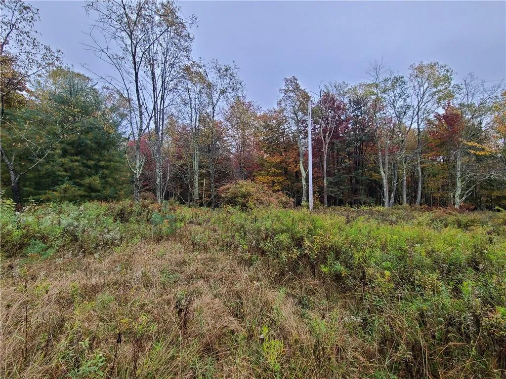 116 Voss Road, Denning, NY, ,Land,For Rent,Voss,0,H6330587 116 Voss Road, Denning, NY, ,Land,For Rent,Voss,0,H6330587