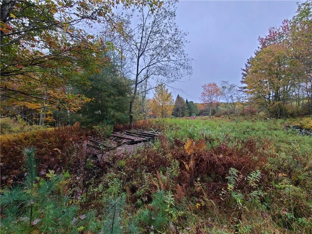 116 Voss Road, Denning, NY, ,Land,For Rent,Voss,0,H6330587 116 Voss Road, Denning, NY, ,Land,For Rent,Voss,0,H6330587
