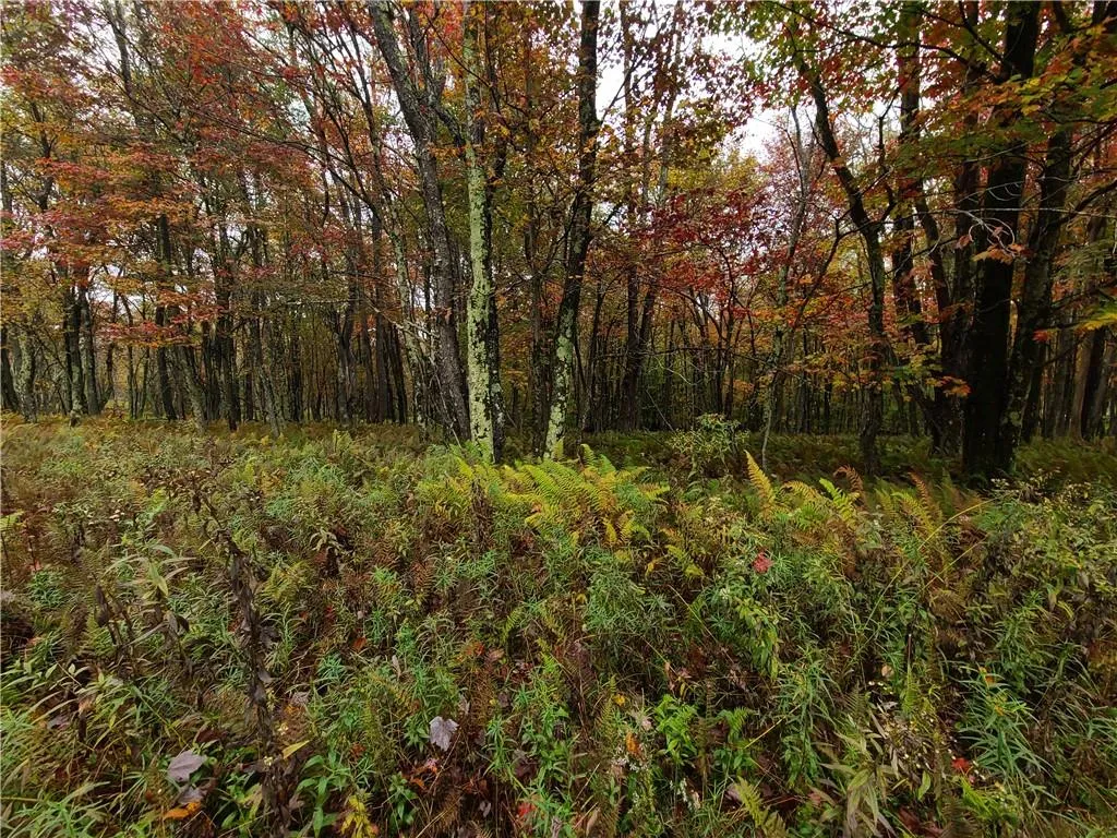 116 Voss Road, Denning, NY, ,Land,For Rent,Voss,0,H6330587 116 Voss Road, Denning, NY, ,Land,For Rent,Voss,0,H6330587