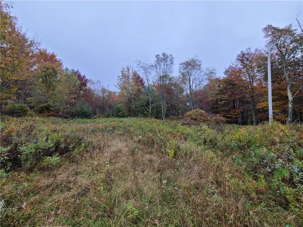 116 Voss Road, Denning, NY, ,Land,For Rent,Voss,0,H6330587 116 Voss Road, Denning, NY, ,Land,For Rent,Voss,0,H6330587