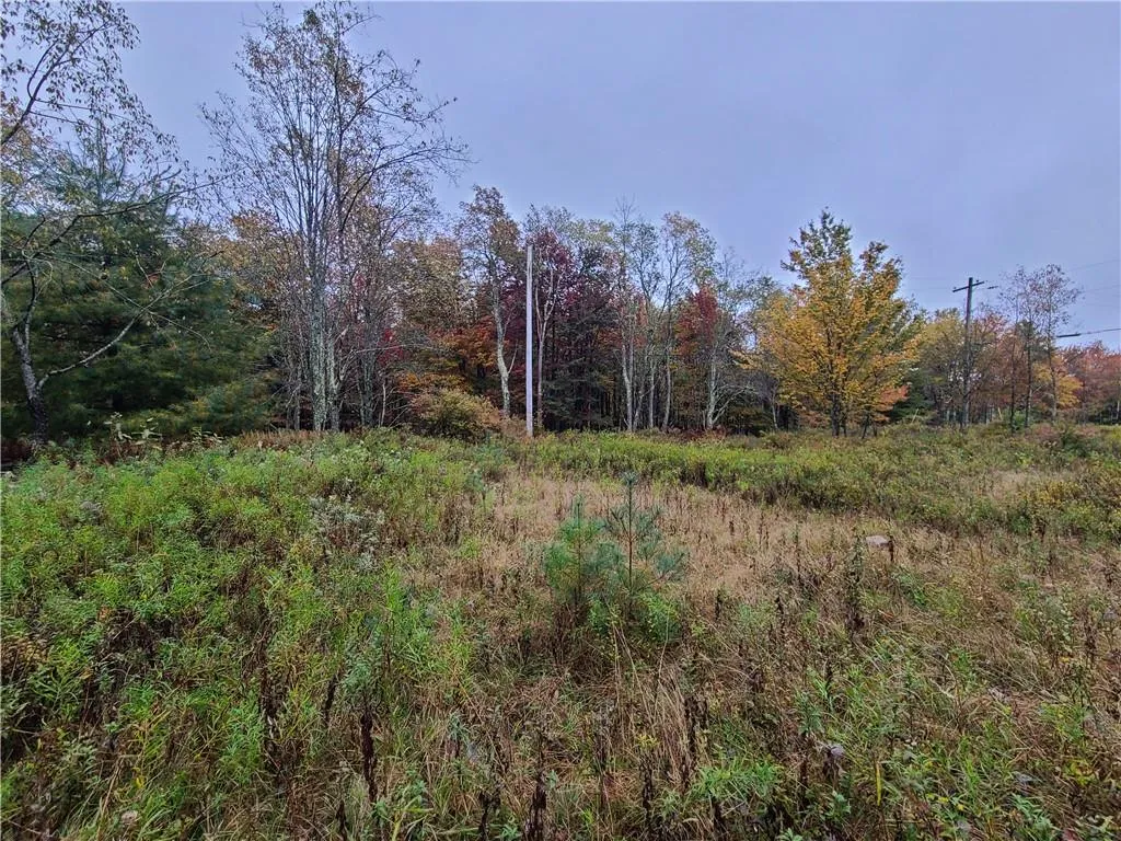 116 Voss Road, Denning, NY, ,Land,For Rent,Voss,0,H6330587 116 Voss Road, Denning, NY, ,Land,For Rent,Voss,0,H6330587