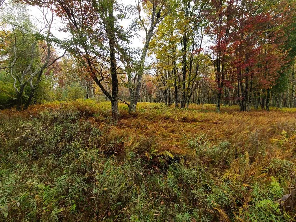 116 Voss Road, Denning, NY, ,Land,For Rent,Voss,0,H6330587 116 Voss Road, Denning, NY, ,Land,For Rent,Voss,0,H6330587