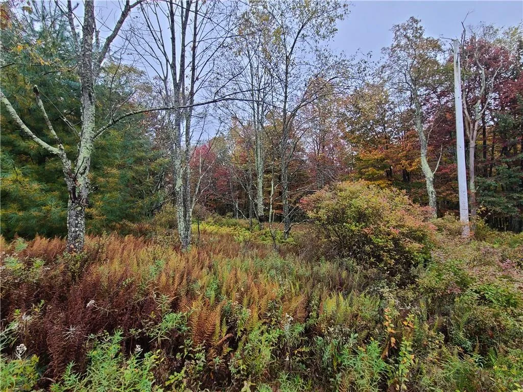 116 Voss Road, Denning, NY, ,Land,For Rent,Voss,0,H6330587 116 Voss Road, Denning, NY, ,Land,For Rent,Voss,0,H6330587
