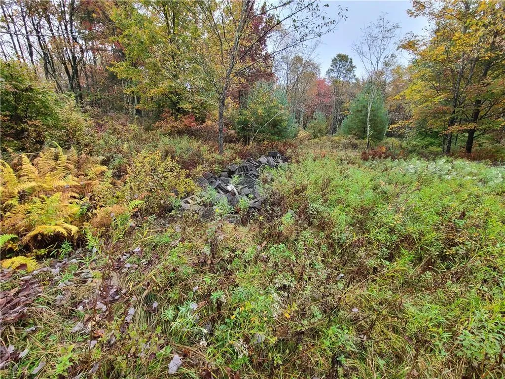 116 Voss Road, Denning, NY, ,Land,For Rent,Voss,0,H6330587 116 Voss Road, Denning, NY, ,Land,For Rent,Voss,0,H6330587