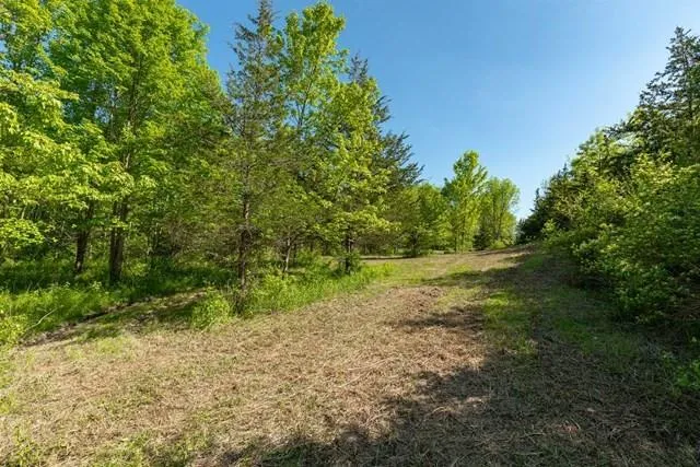 RT 55 / LAUER Road, La Grange, NY, ,Land,For Rent,RT 55 / LAUER,0,H6330729 RT 55 / LAUER Road, La Grange, NY, ,Land,For Rent,RT 55 / LAUER,0,H6330729