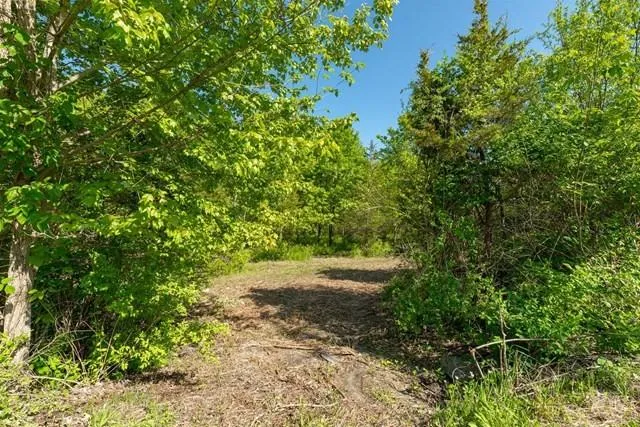 RT 55 / LAUER Road, La Grange, NY, ,Land,For Rent,RT 55 / LAUER,0,H6330729 RT 55 / LAUER Road, La Grange, NY, ,Land,For Rent,RT 55 / LAUER,0,H6330729