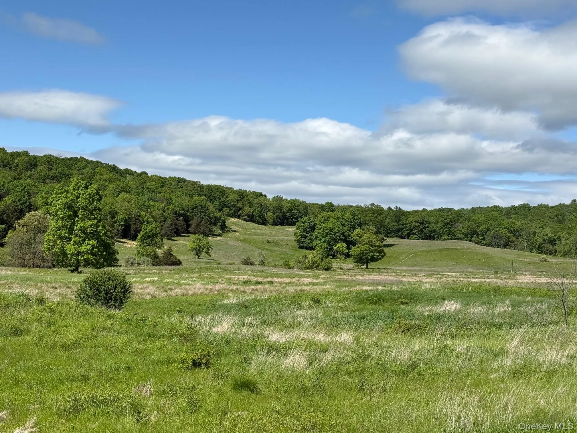 View of woods with a view of rural / pastoral area View of woods with a view of rural / pastoral area