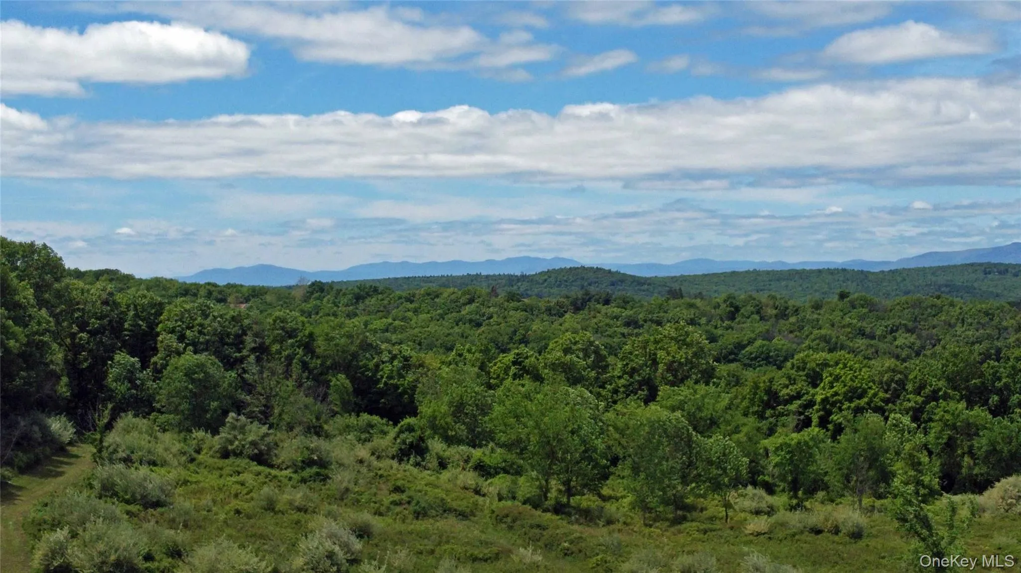 View of mountain backdrop with a heavily wooded area View of mountain backdrop with a heavily wooded area