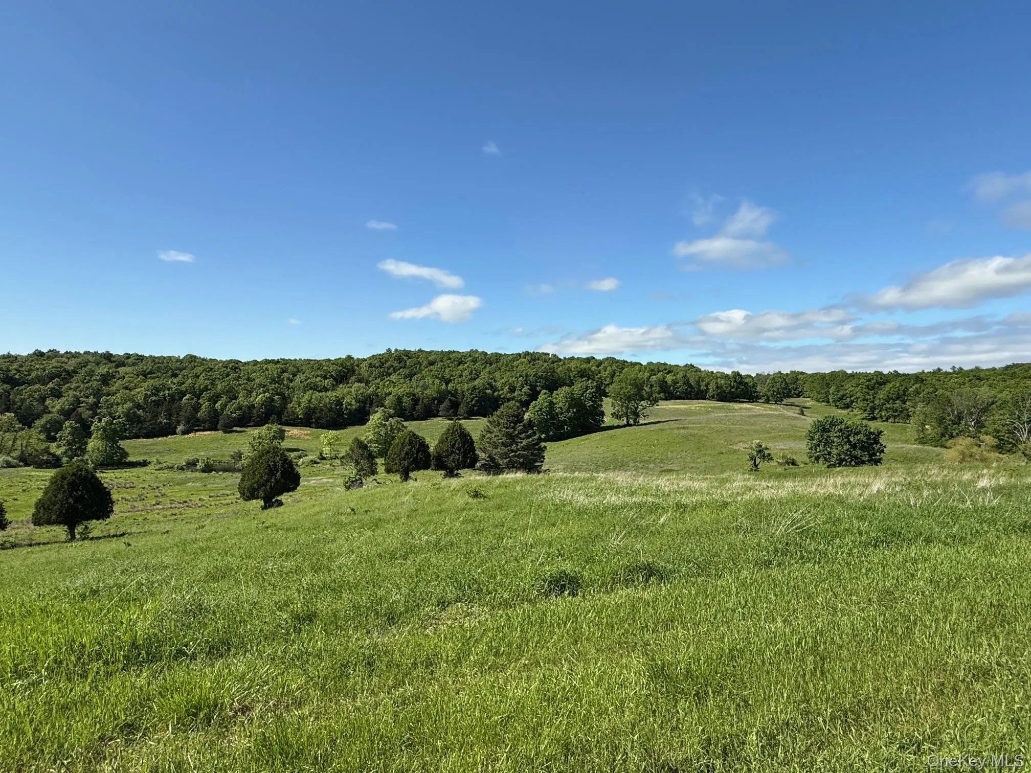 View of undeveloped land with rural landscape View of undeveloped land with rural landscape