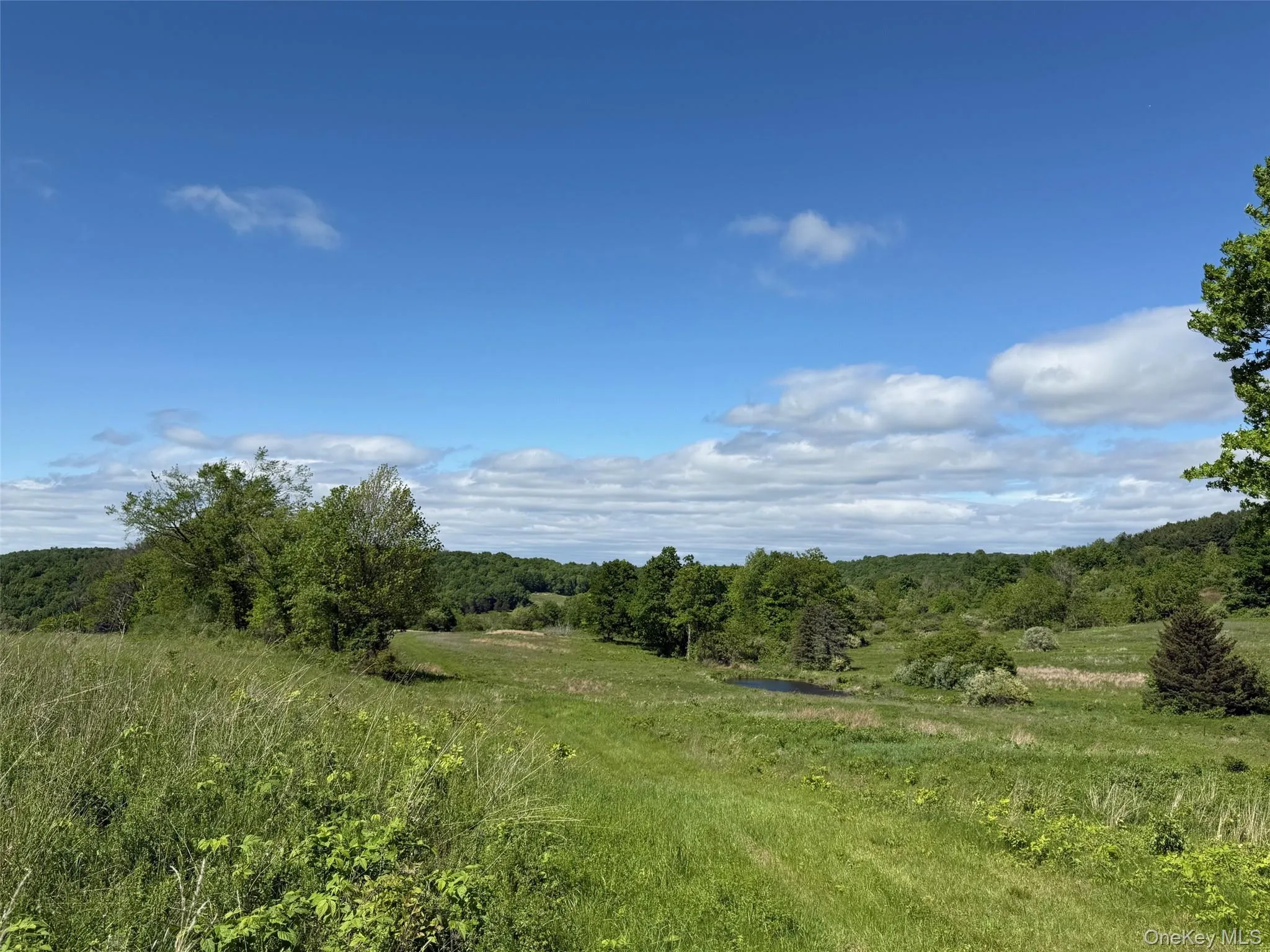 View of wooded area with a view of countryside View of wooded area with a view of countryside
