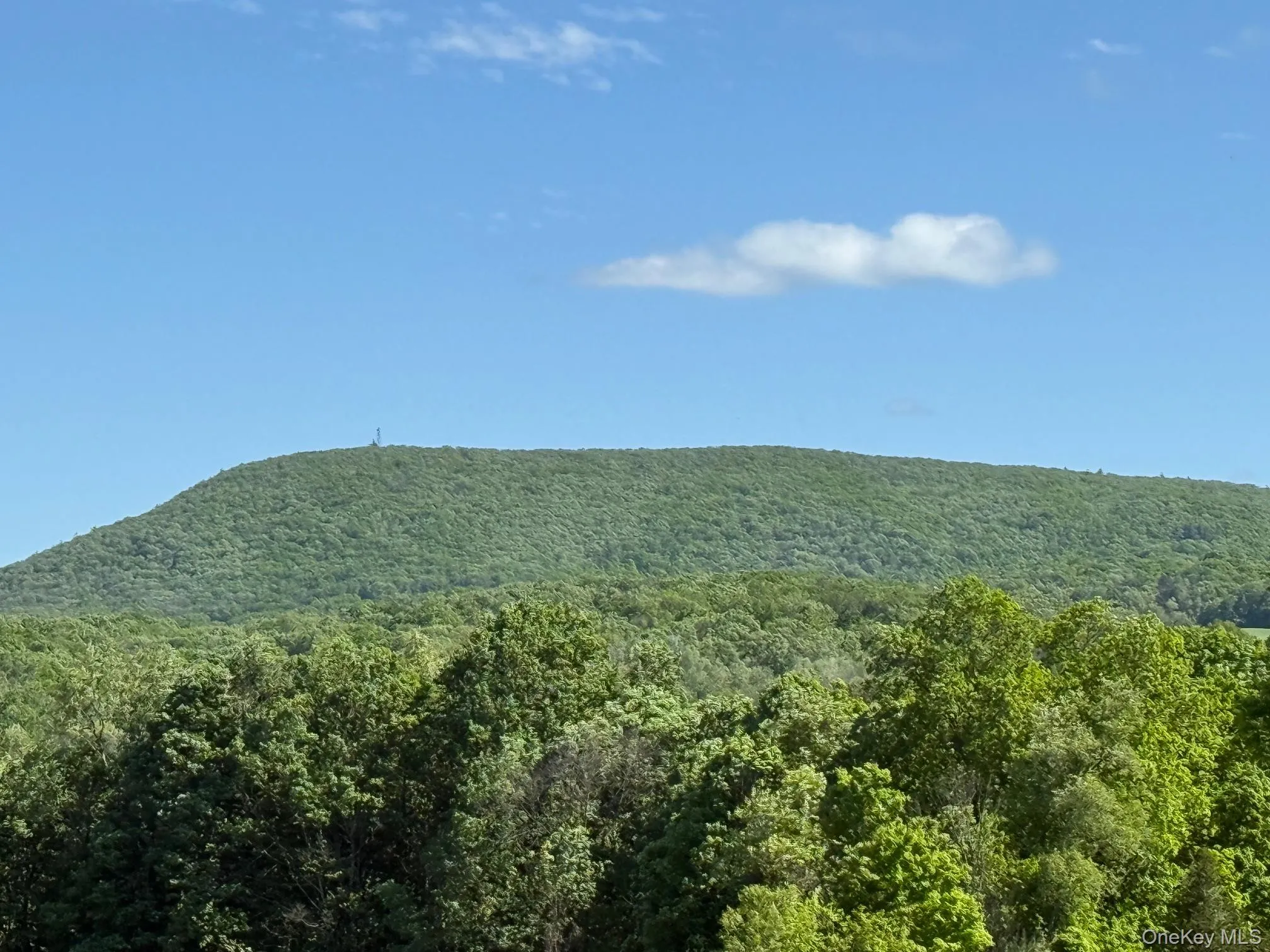 View of mountain backdrop featuring a heavily wooded area View of mountain backdrop featuring a heavily wooded area