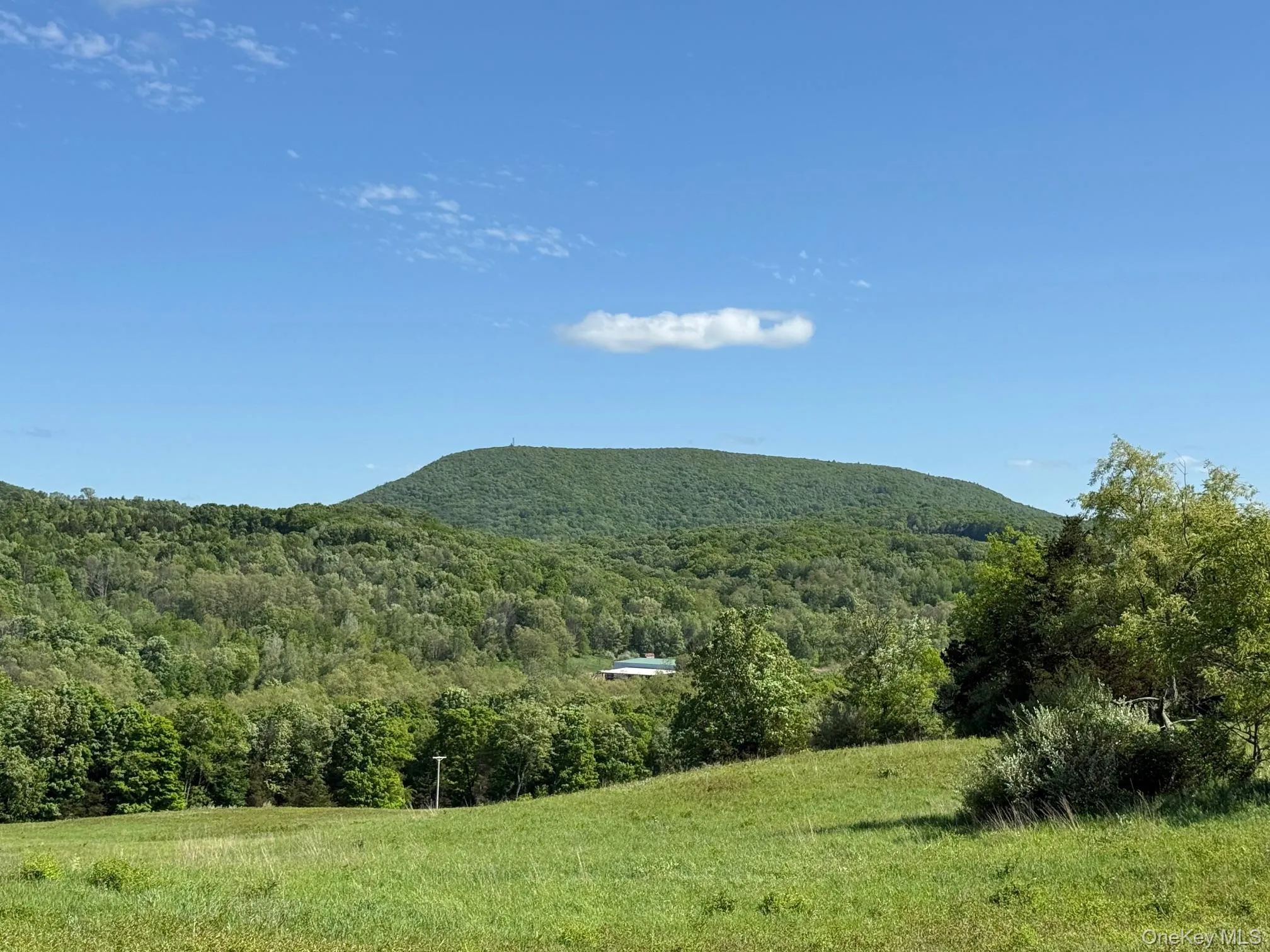 View of mountain backdrop featuring a heavily wooded area View of mountain backdrop featuring a heavily wooded area