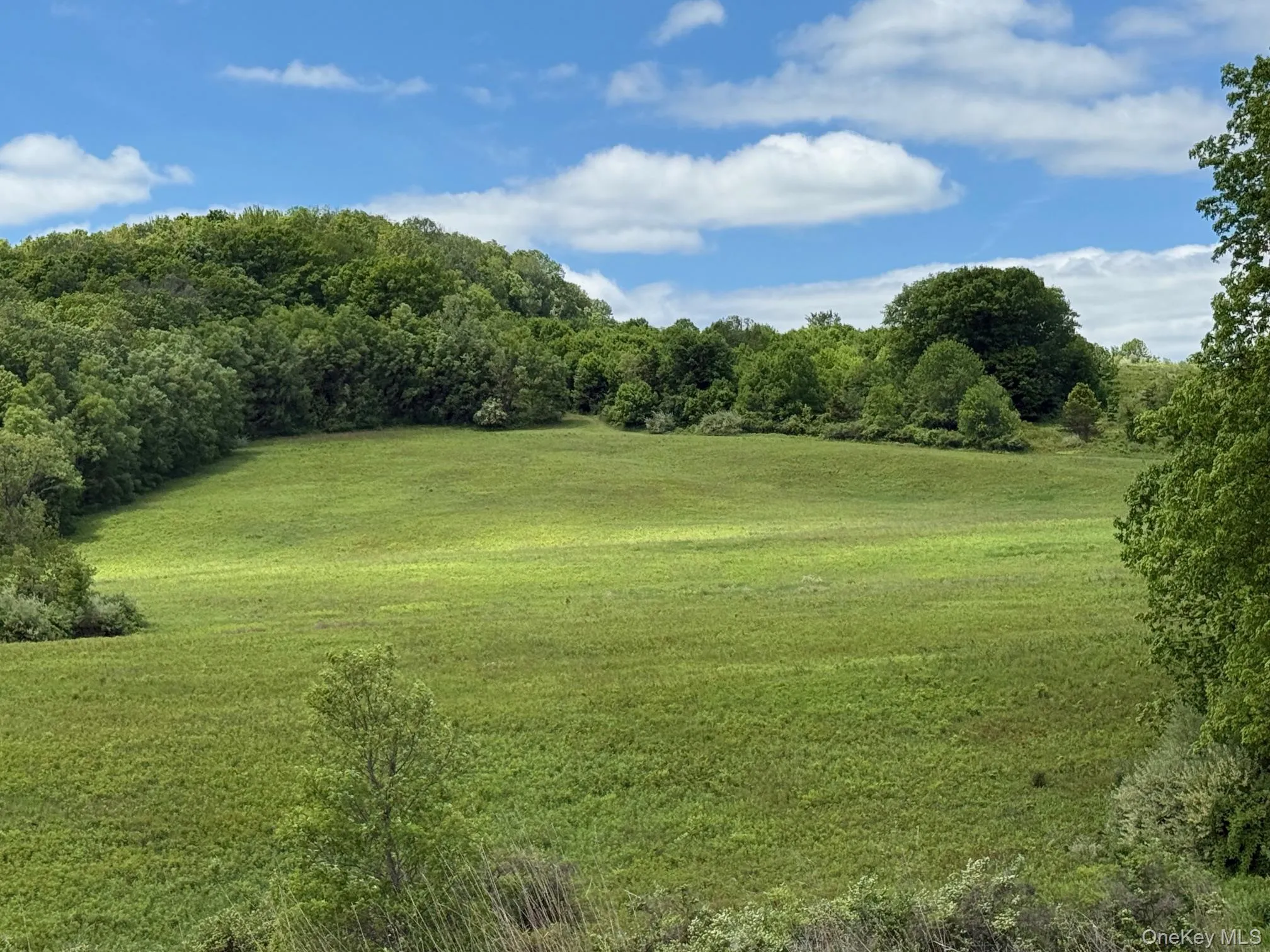 View of property's community with a lawn View of property's community with a lawn