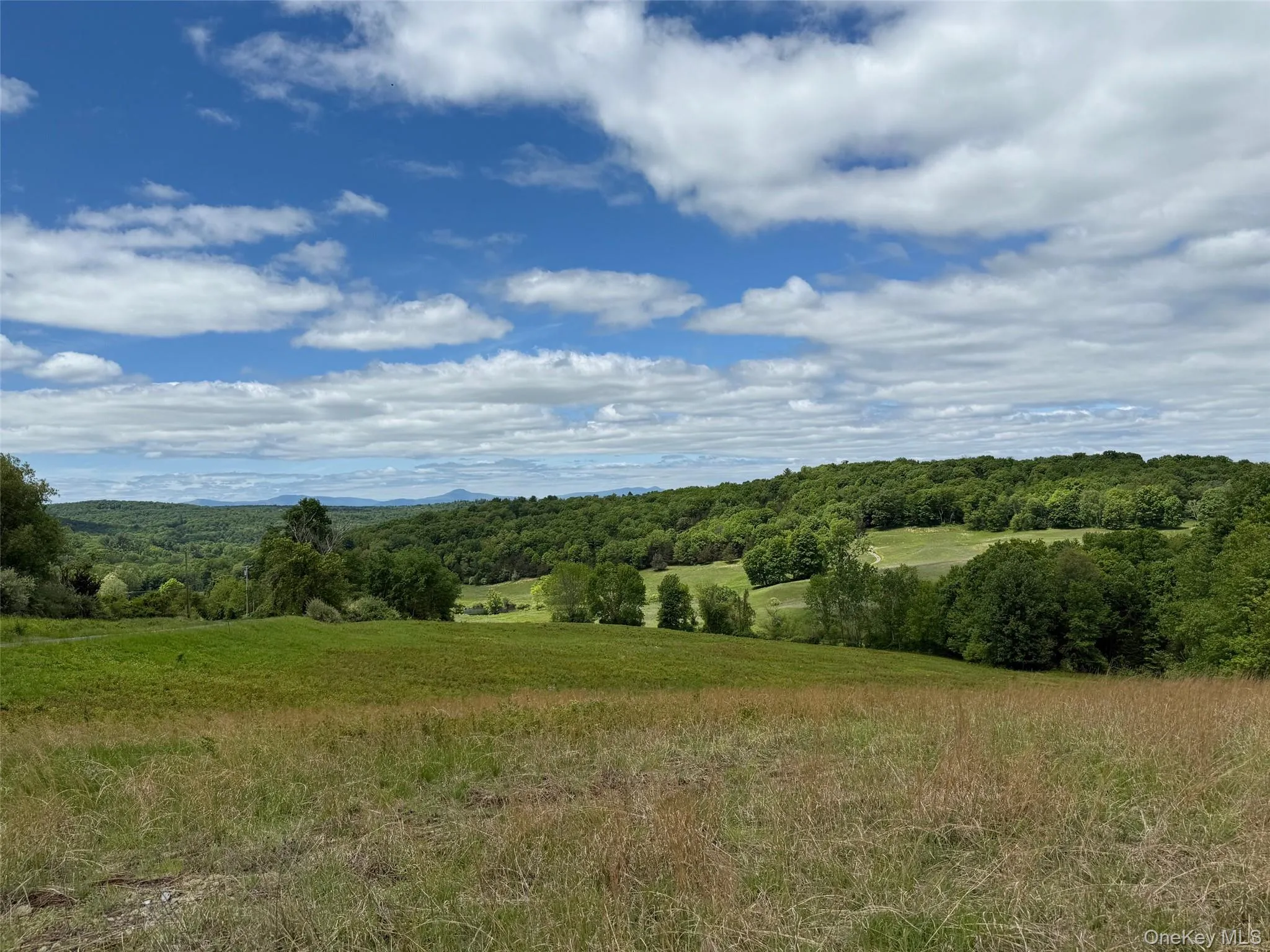 View of wooded area featuring a view of rural / pastoral area View of wooded area featuring a view of rural / pastoral area