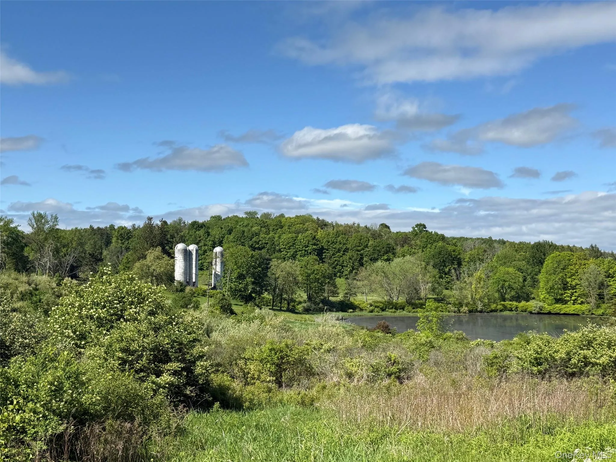 View of tree filled area featuring a water view View of tree filled area featuring a water view