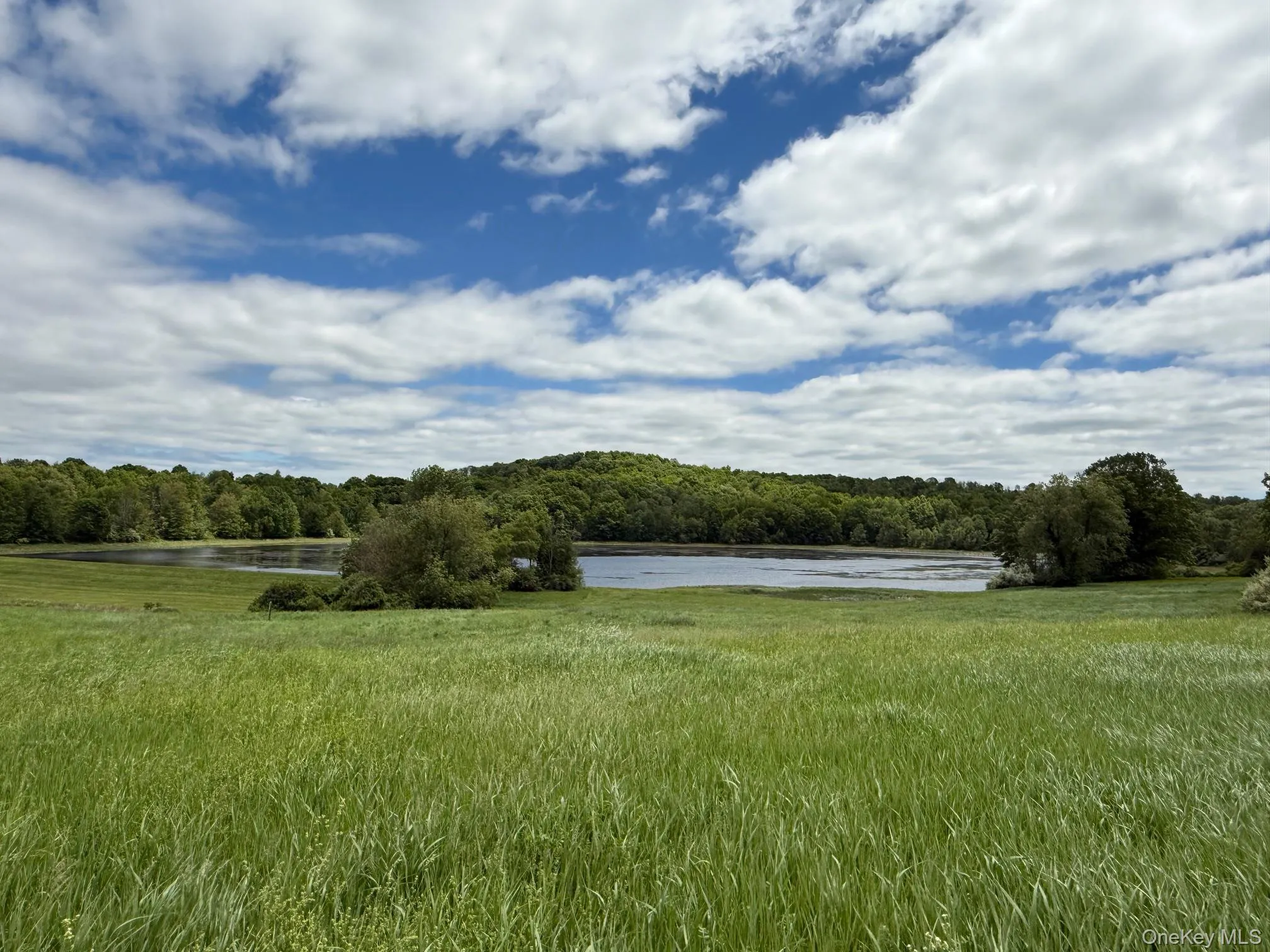 View of yard with a water view and a forest view View of yard with a water view and a forest view