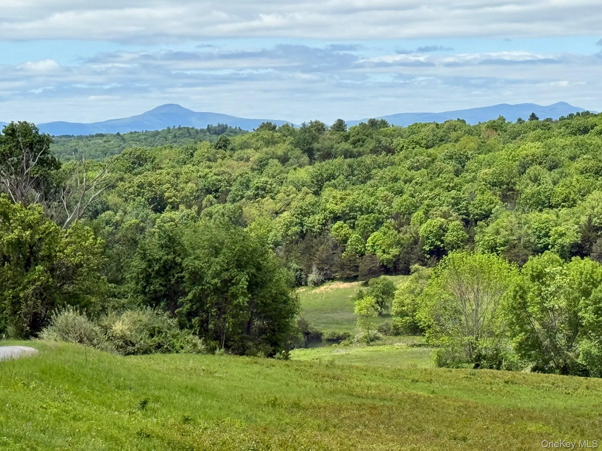 View of mountain background with a heavily wooded area View of mountain background with a heavily wooded area