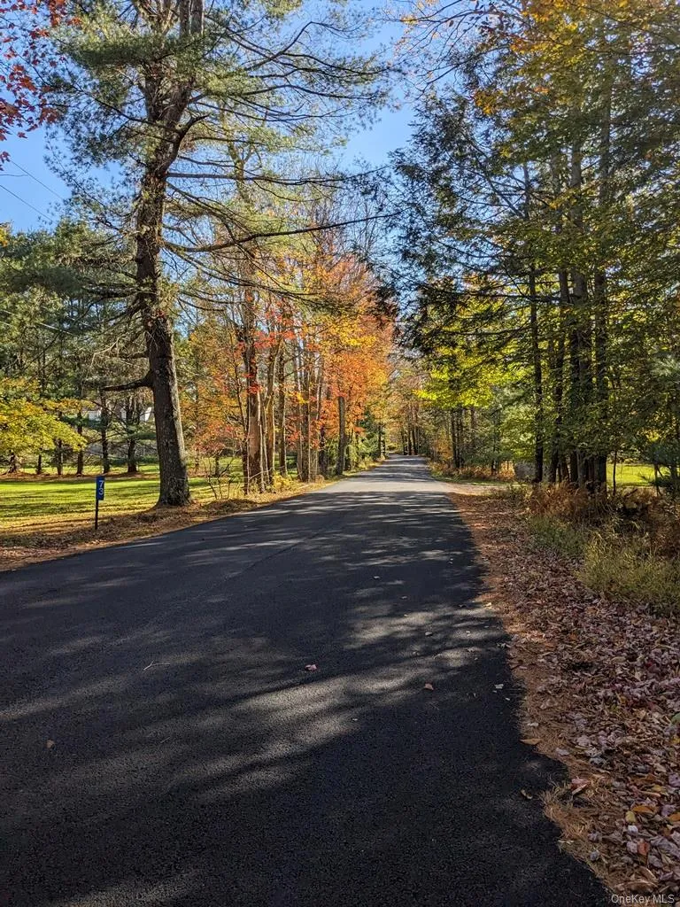 Moscoe Road, Bethel, NY, ,Land,For Rent,Moscoe,0,H6333324 Moscoe Road, Bethel, NY, ,Land,For Rent,Moscoe,0,H6333324