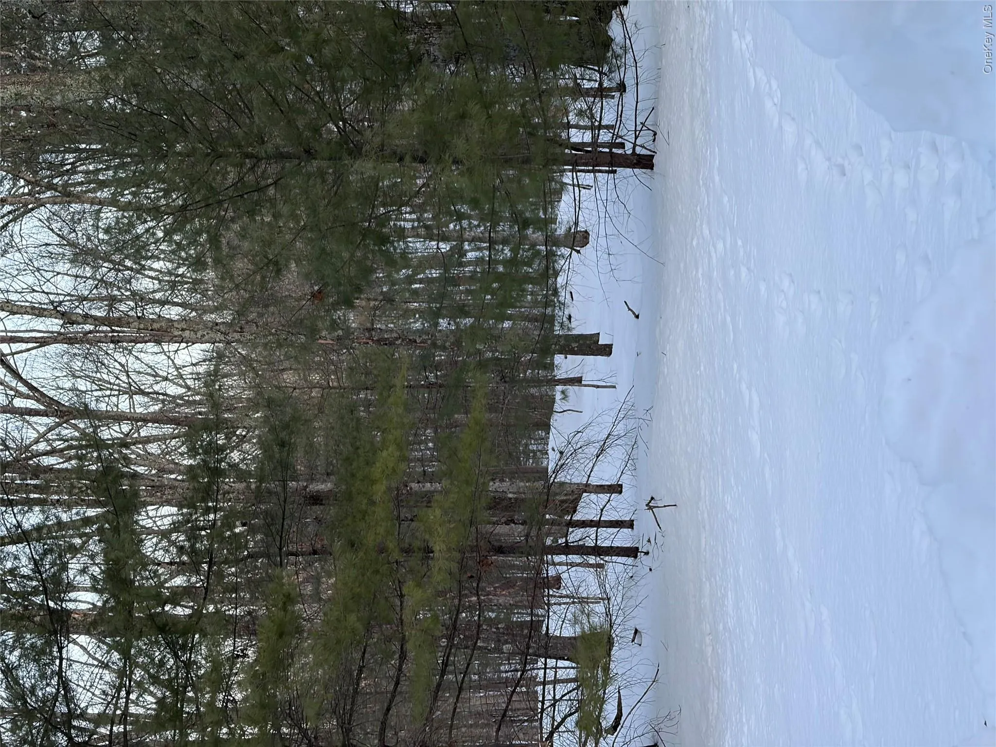 Red Hill Road, Mamakating, NY, ,Land,For Rent,Red Hill,0,H6333772 Red Hill Road, Mamakating, NY, ,Land,For Rent,Red Hill,0,H6333772