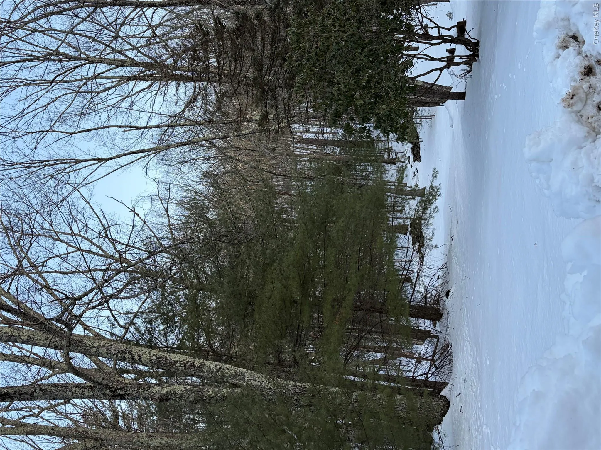 Red Hill Road, Mamakating, NY, ,Land,For Rent,Red Hill,0,H6333772 Red Hill Road, Mamakating, NY, ,Land,For Rent,Red Hill,0,H6333772