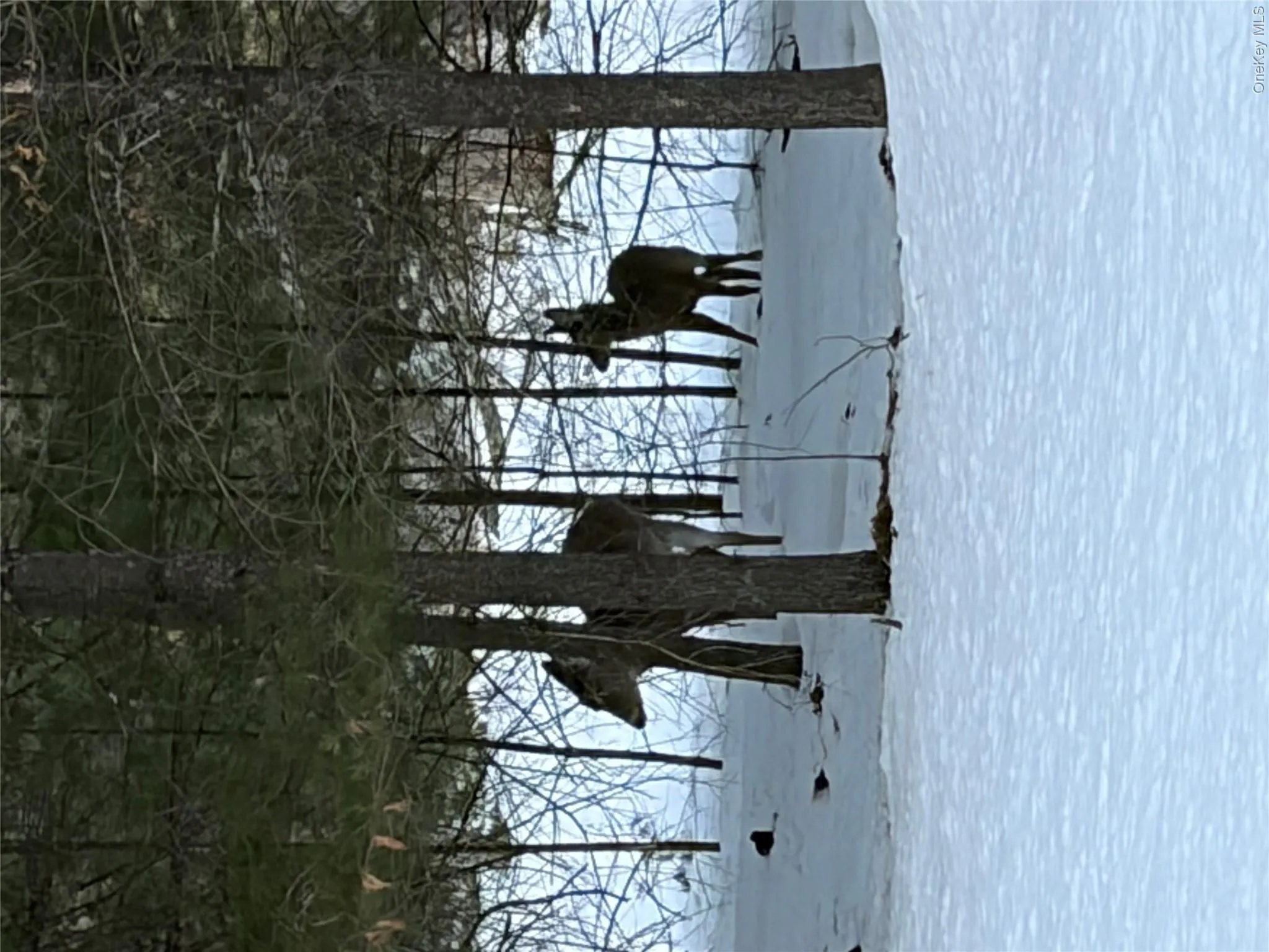Red Hill Road, Mamakating, NY, ,Land,For Rent,Red Hill,0,H6333772 Red Hill Road, Mamakating, NY, ,Land,For Rent,Red Hill,0,H6333772