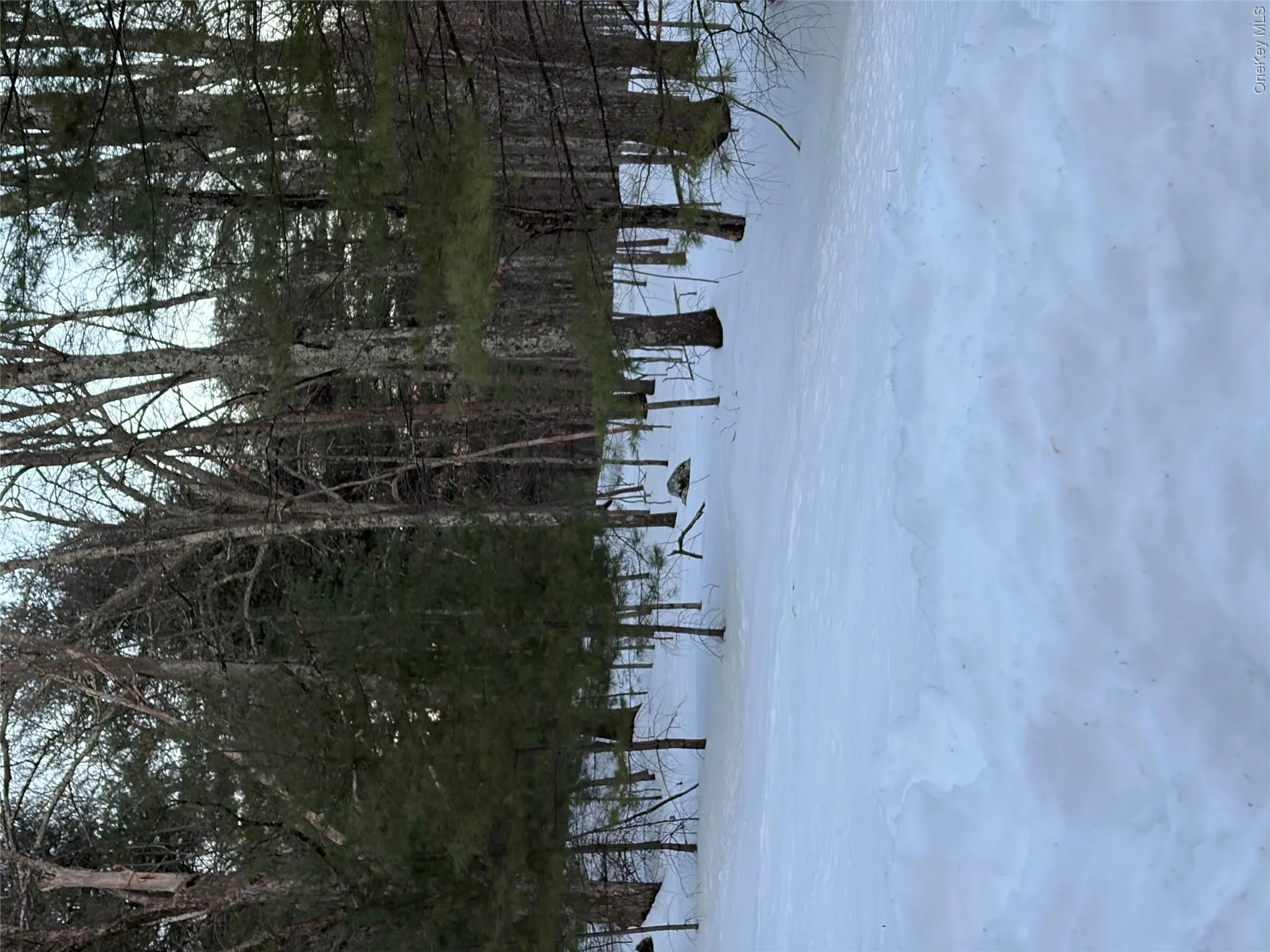 Red Hill Road, Mamakating, NY, ,Land,For Rent,Red Hill,0,H6333772 Red Hill Road, Mamakating, NY, ,Land,For Rent,Red Hill,0,H6333772