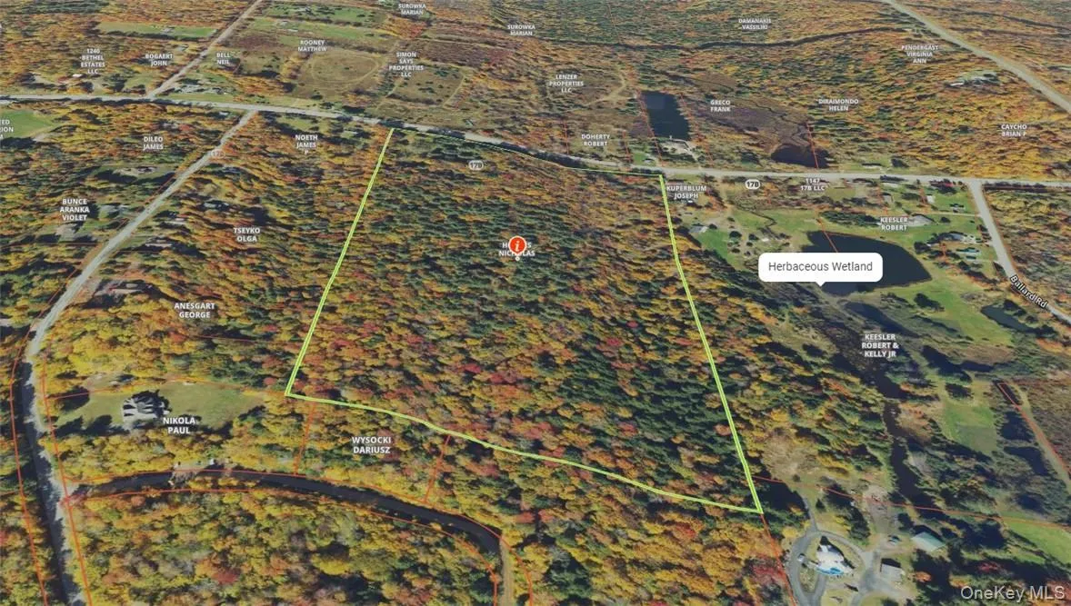 1195 NYS Route 17B, Bethel, NY, ,Land,For Rent,NYS Route 17B,0,H6334203 1195 NYS Route 17B, Bethel, NY, ,Land,For Rent,NYS Route 17B,0,H6334203