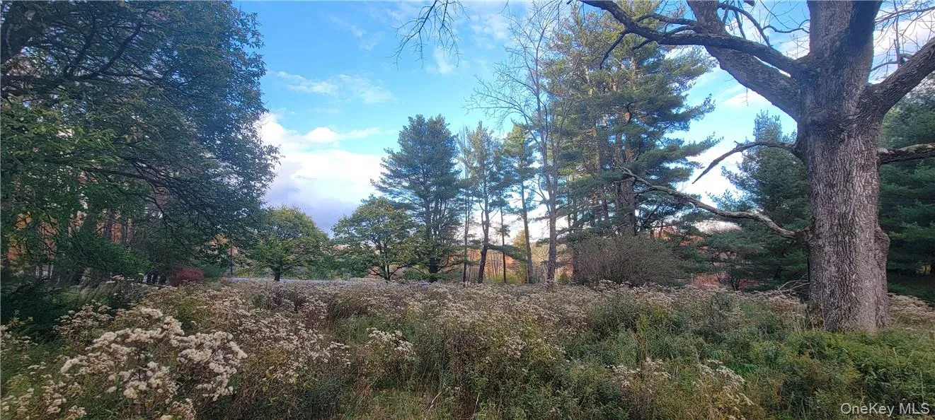 1195 NYS Route 17B, Bethel, NY, ,Land,For Rent,NYS Route 17B,0,H6334203 1195 NYS Route 17B, Bethel, NY, ,Land,For Rent,NYS Route 17B,0,H6334203