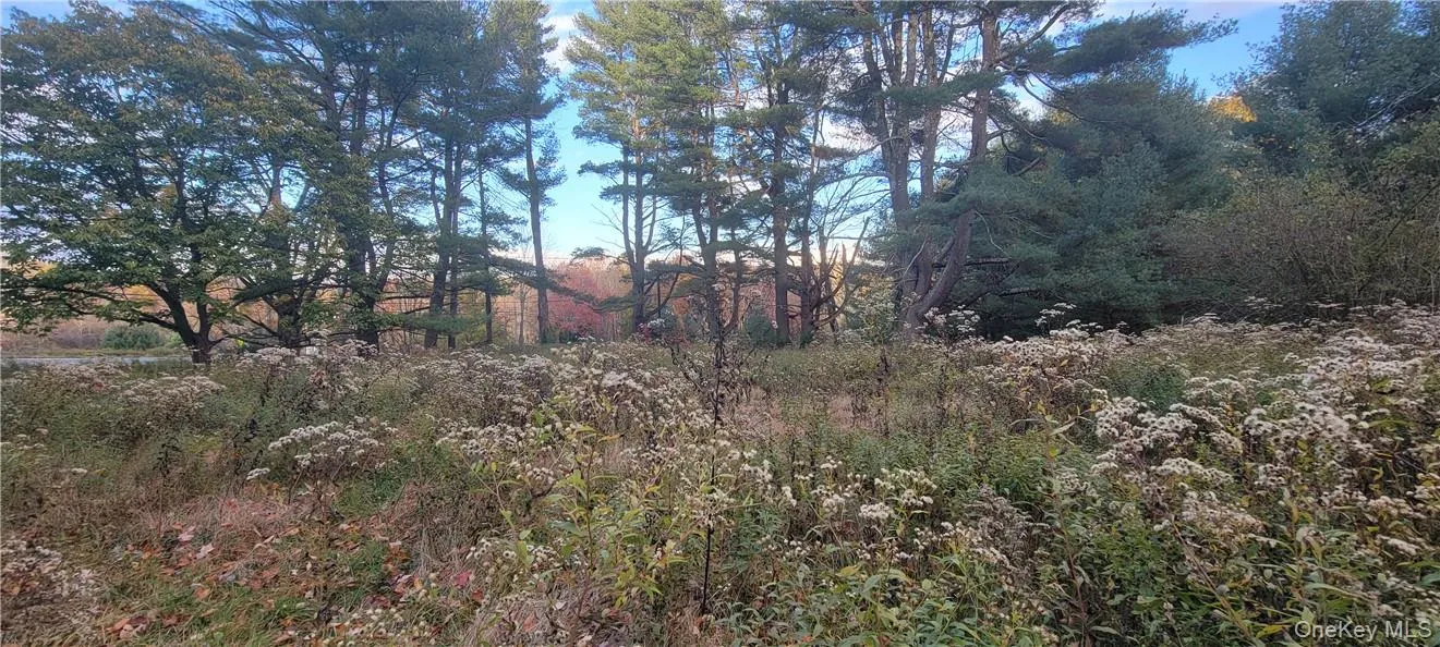 1195 NYS Route 17B, Bethel, NY, ,Land,For Rent,NYS Route 17B,0,H6334203 1195 NYS Route 17B, Bethel, NY, ,Land,For Rent,NYS Route 17B,0,H6334203