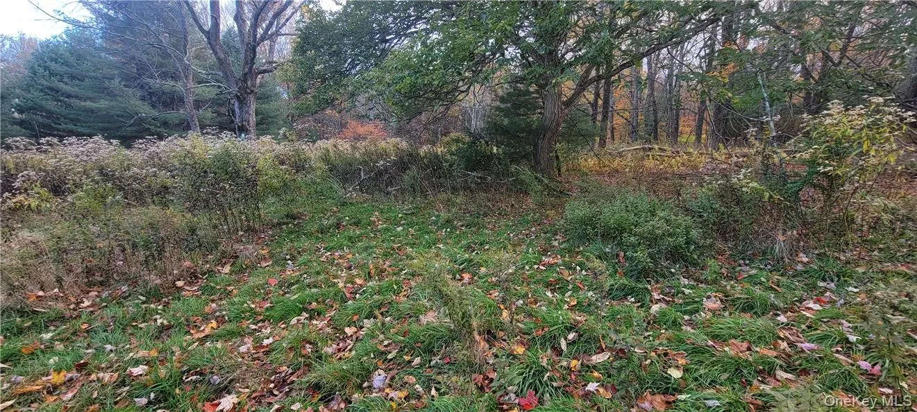 1195 NYS Route 17B, Bethel, NY, ,Land,For Rent,NYS Route 17B,0,H6334203 1195 NYS Route 17B, Bethel, NY, ,Land,For Rent,NYS Route 17B,0,H6334203