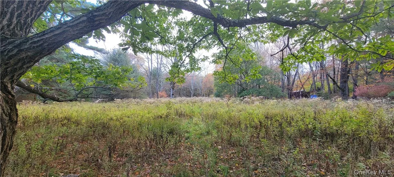 1195 NYS Route 17B, Bethel, NY, ,Land,For Rent,NYS Route 17B,0,H6334203 1195 NYS Route 17B, Bethel, NY, ,Land,For Rent,NYS Route 17B,0,H6334203