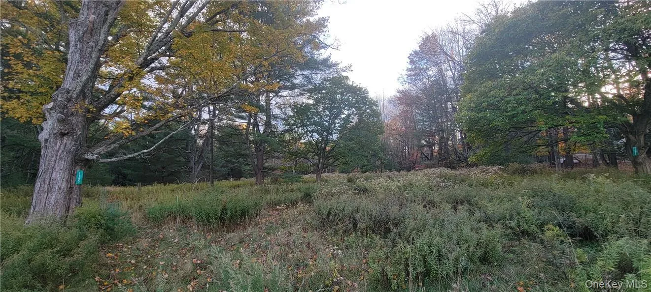 1195 NYS Route 17B, Bethel, NY, ,Land,For Rent,NYS Route 17B,0,H6334203 1195 NYS Route 17B, Bethel, NY, ,Land,For Rent,NYS Route 17B,0,H6334203