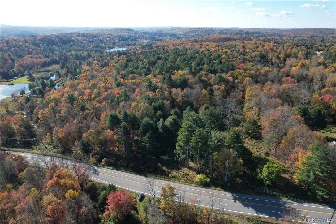 1195 NYS Route 17B, Bethel, NY, ,Land,For Rent,NYS Route 17B,0,H6334203 1195 NYS Route 17B, Bethel, NY, ,Land,For Rent,NYS Route 17B,0,H6334203