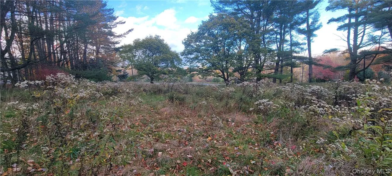 1195 NYS Route 17B, Bethel, NY, ,Land,For Rent,NYS Route 17B,0,H6334203 1195 NYS Route 17B, Bethel, NY, ,Land,For Rent,NYS Route 17B,0,H6334203