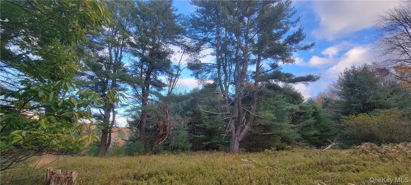 1195 NYS Route 17B, Bethel, NY, ,Land,For Rent,NYS Route 17B,0,H6334203 1195 NYS Route 17B, Bethel, NY, ,Land,For Rent,NYS Route 17B,0,H6334203