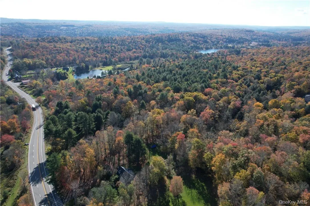 1195 NYS Route 17B, Bethel, NY, ,Land,For Rent,NYS Route 17B,0,H6334203 1195 NYS Route 17B, Bethel, NY, ,Land,For Rent,NYS Route 17B,0,H6334203