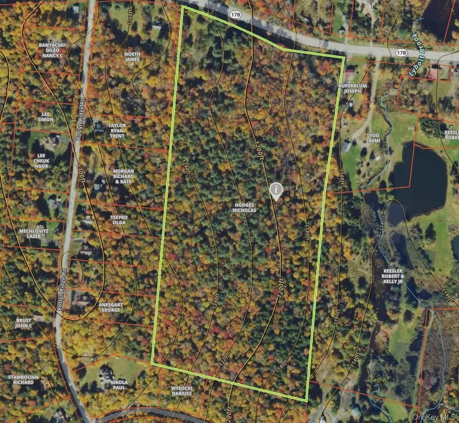 1195 NYS Route 17B, Bethel, NY, ,Land,For Rent,NYS Route 17B,0,H6334203 1195 NYS Route 17B, Bethel, NY, ,Land,For Rent,NYS Route 17B,0,H6334203