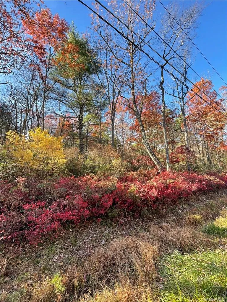 Lot 84 Forestburgh Road, Lumberland, NY, ,Land,For Rent,Forestburgh,0,H6334215 Lot 84 Forestburgh Road, Lumberland, NY, ,Land,For Rent,Forestburgh,0,H6334215