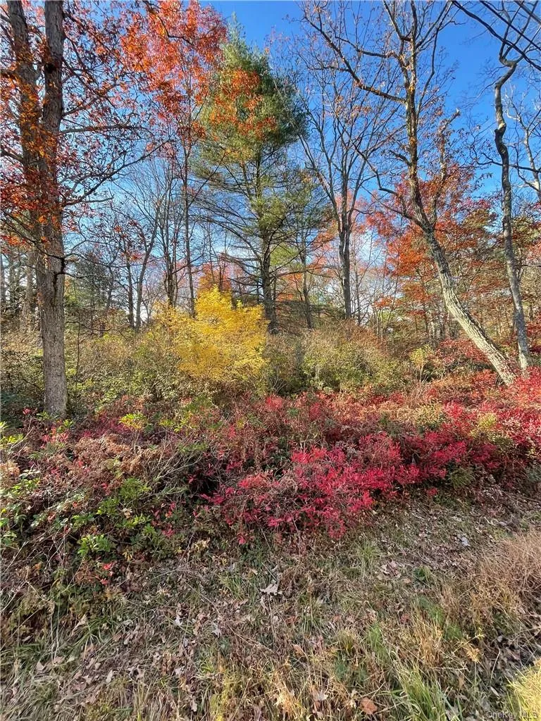 Lot 84 Forestburgh Road, Lumberland, NY, ,Land,For Rent,Forestburgh,0,H6334215 Lot 84 Forestburgh Road, Lumberland, NY, ,Land,For Rent,Forestburgh,0,H6334215