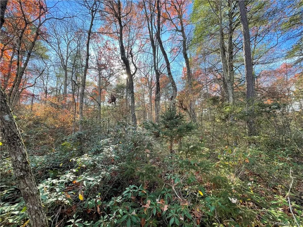 Lot 84 Forestburgh Road, Lumberland, NY, ,Land,For Rent,Forestburgh,0,H6334215 Lot 84 Forestburgh Road, Lumberland, NY, ,Land,For Rent,Forestburgh,0,H6334215