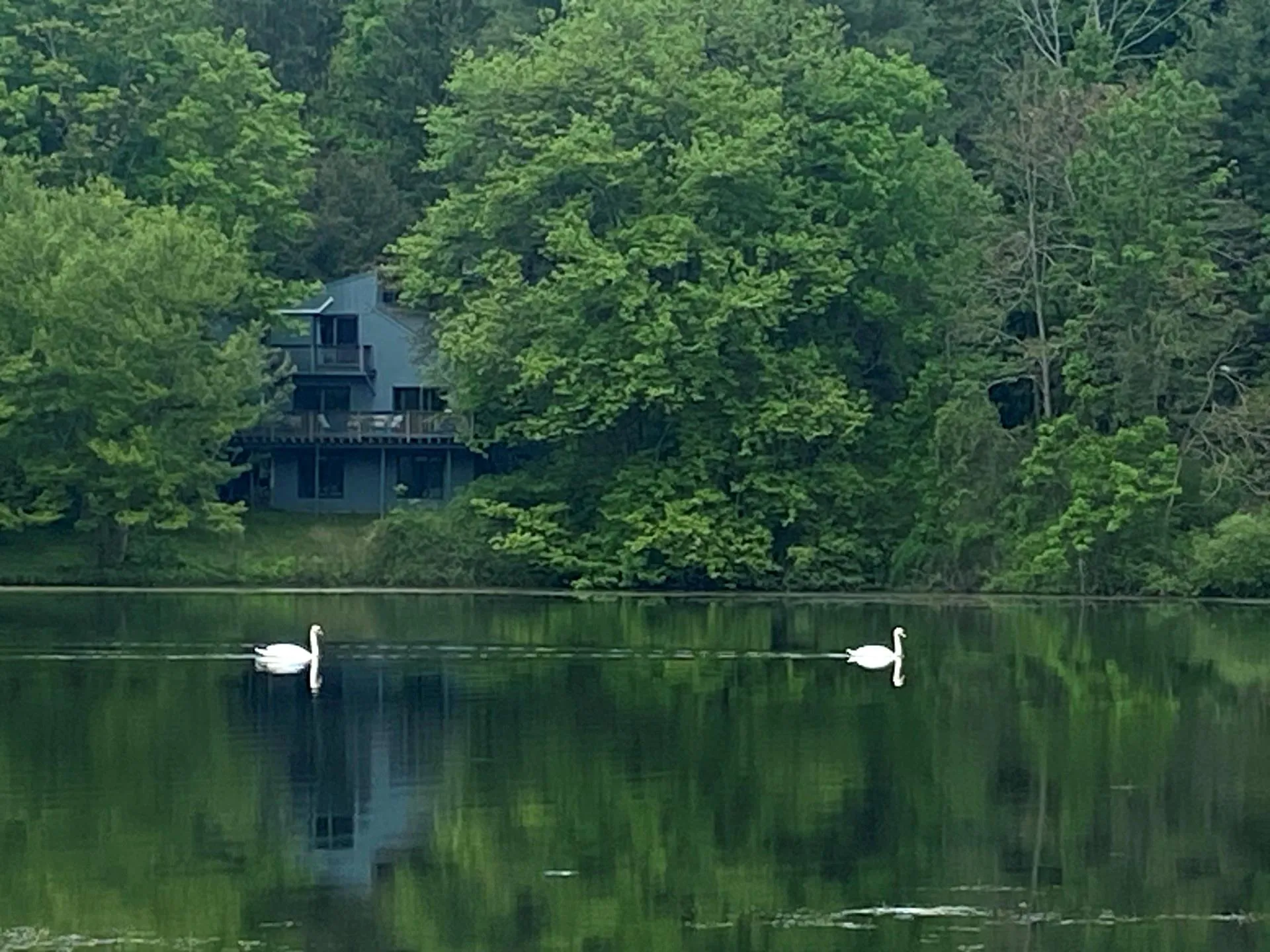 Full access to lake Full access to lake