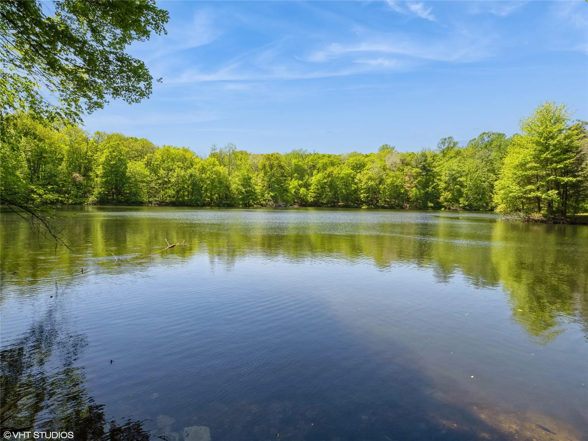 Water view with a forest Water view with a forest