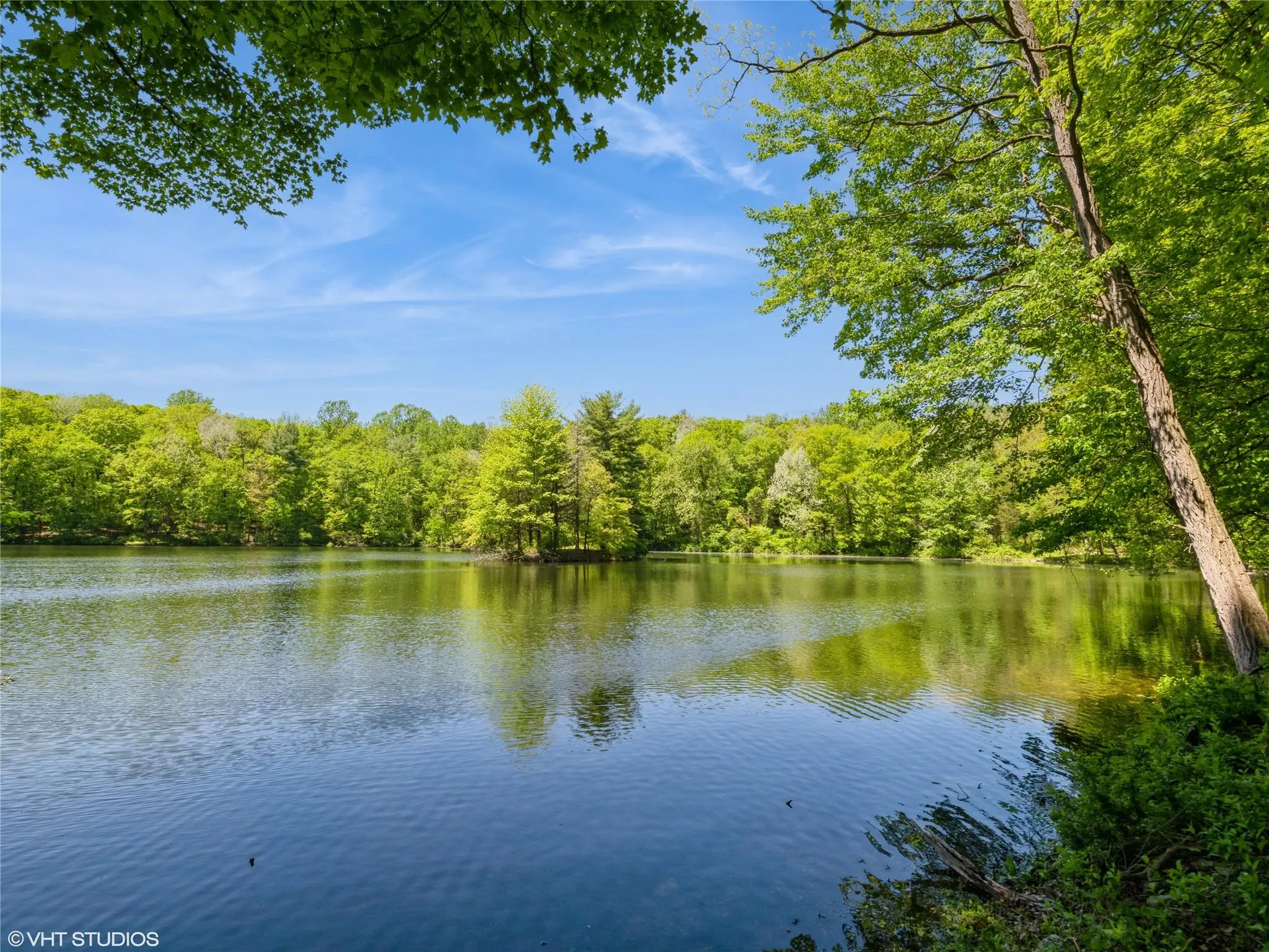 Water view with a heavily wooded area Water view with a heavily wooded area