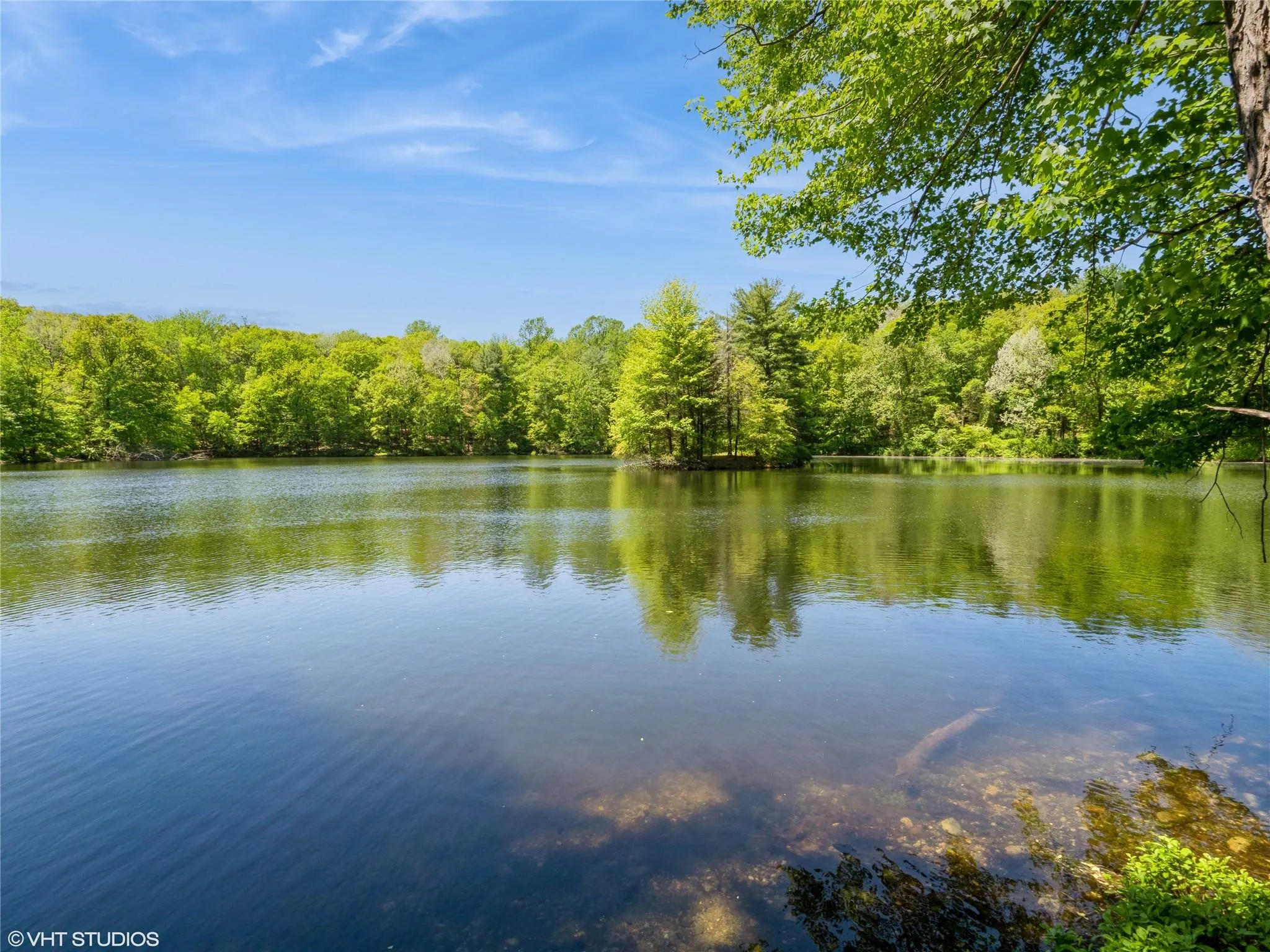Water view featuring a forest Water view featuring a forest