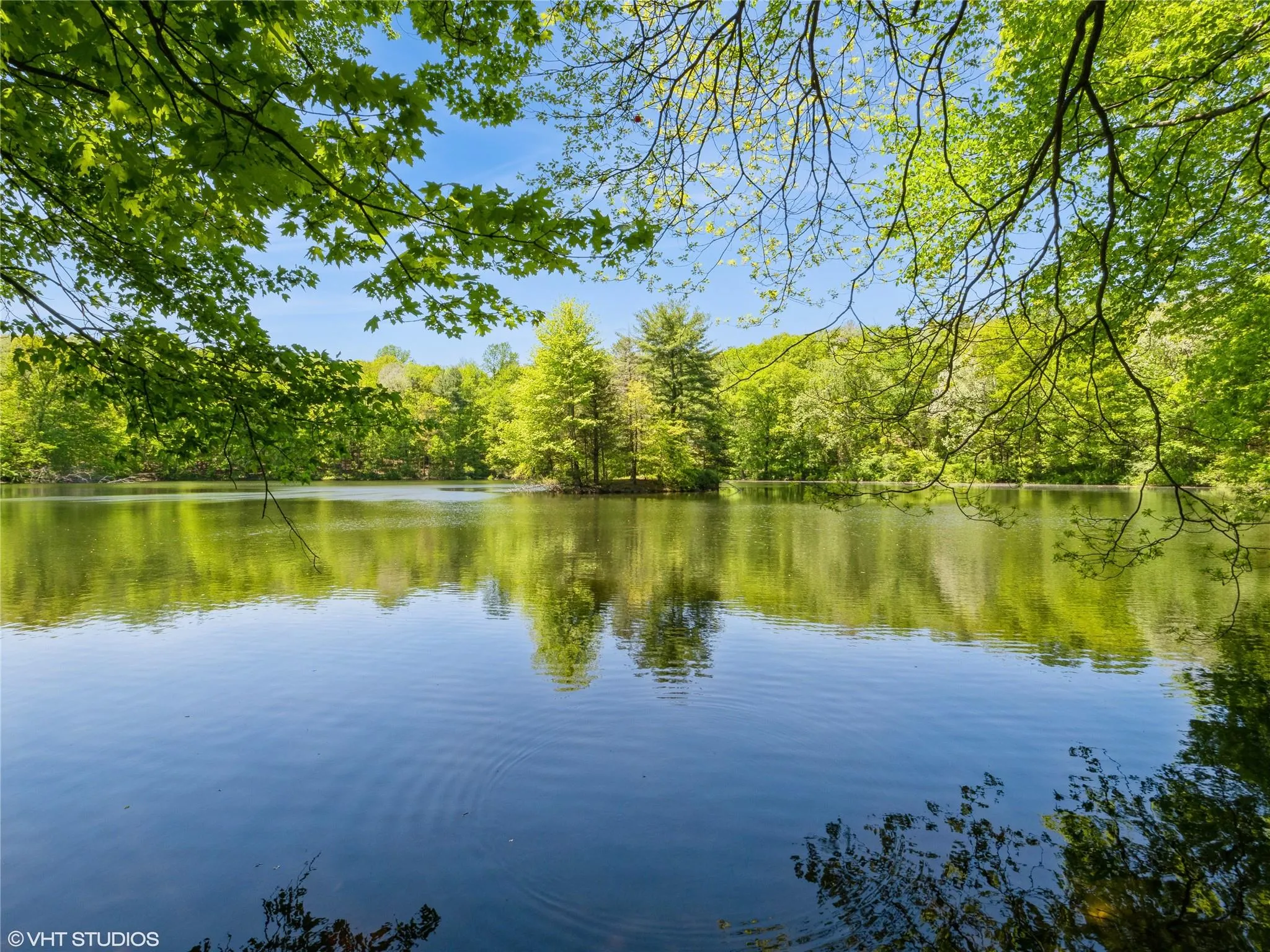 Water view featuring a heavily wooded area Water view featuring a heavily wooded area
