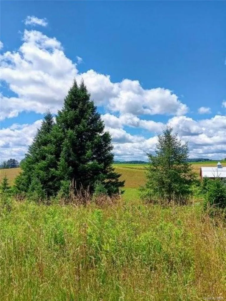 View of local wilderness with a rural view View of local wilderness with a rural view