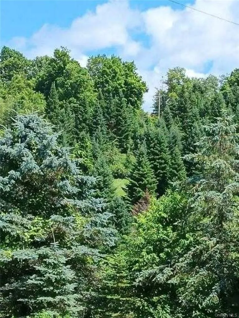 View of nature View of nature