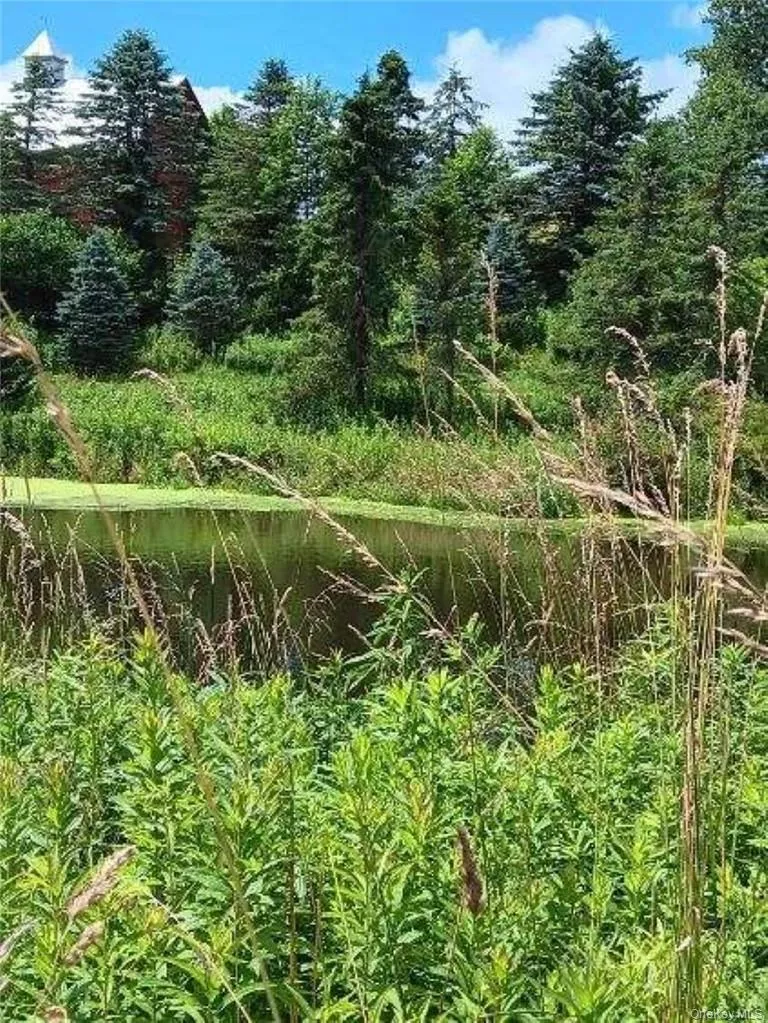 View of local wilderness featuring a water view View of local wilderness featuring a water view